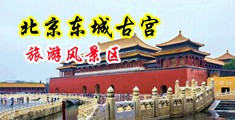 三级强奸乱伦中国北京-东城古宫旅游风景区